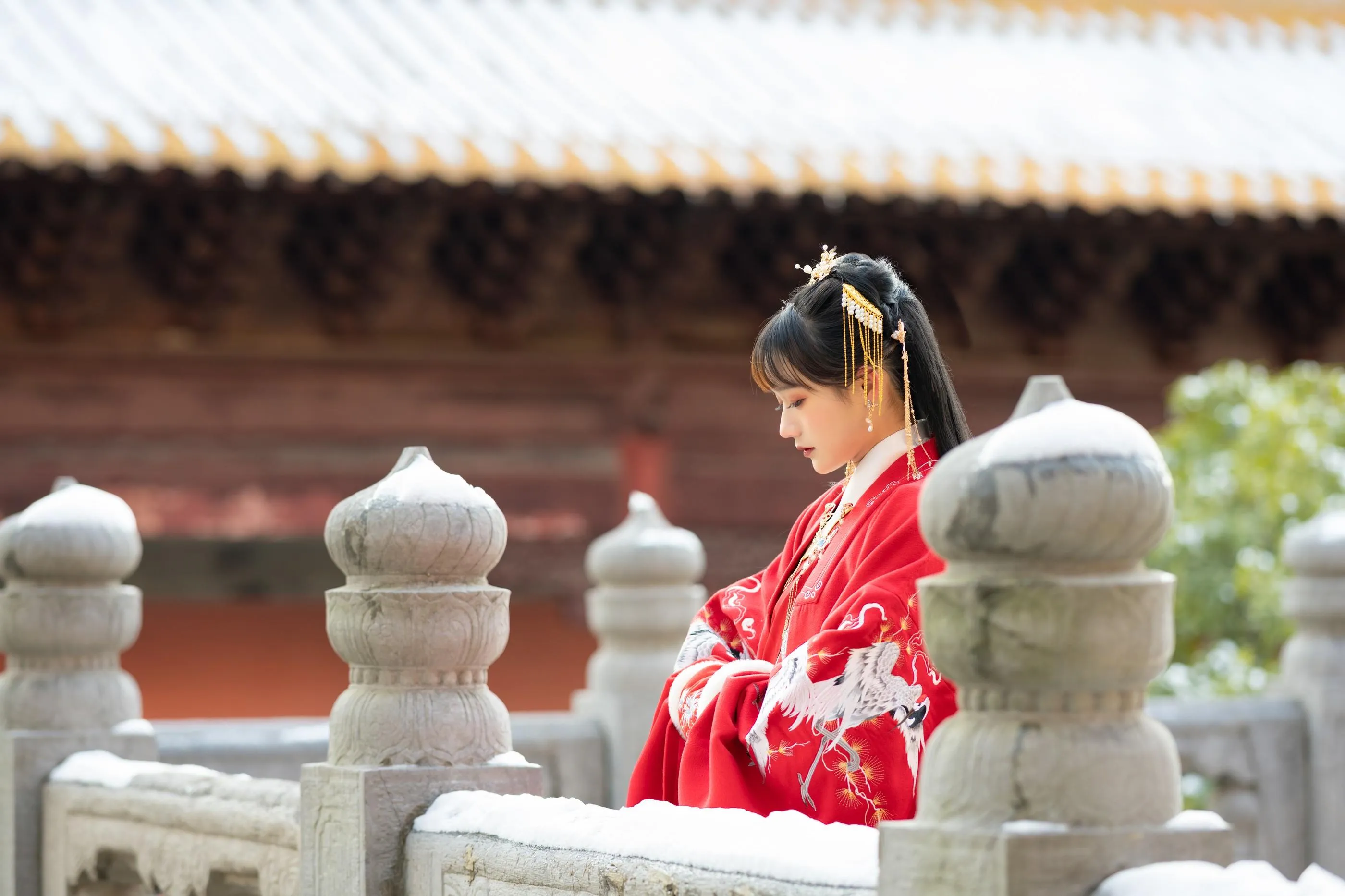 [艺图语] 2022.06.18 深宫雪 兔子Zzz不吃胡萝卜 [28P]插图3
